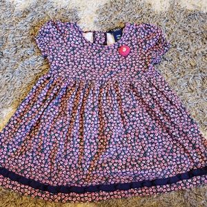 Chaps 24M floral dress